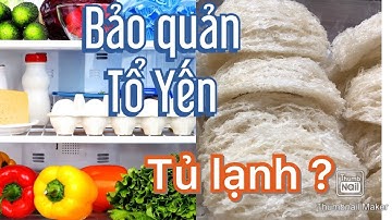 Có nên Bảo quản Tổ Yến Sào trong Tủ Lạnh ? Hướng dẫn bảo quản Tổ Yến