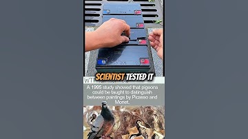 Useless Facts - Part 5 #Shorts #facts