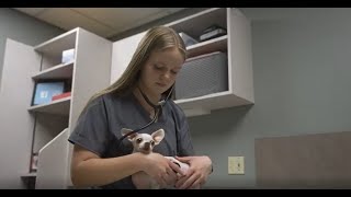 Agriculture, Food and Natural Resources - Youth Apprenticeship
