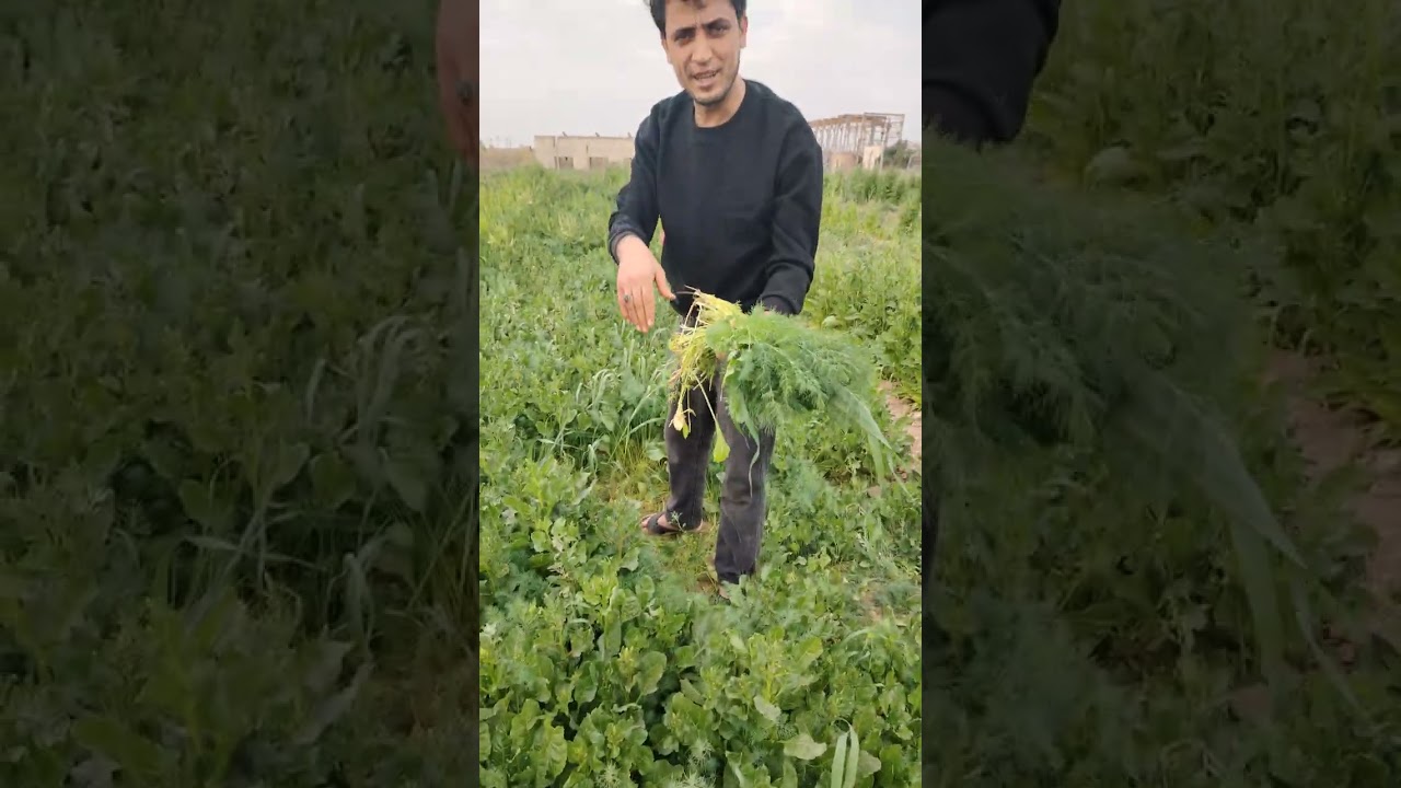 ٢٤ شباط، ٢٠٢٦