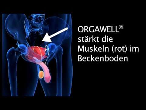Stärkt die Erektion - neu gegen Erektionsprobleme - YouTube