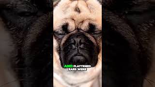 Cracking the Code: Decoding Max's Unique Language of Communication