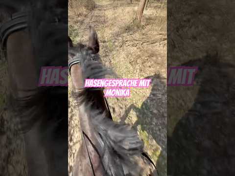 Achtung Ironie & Sarkasmus Hasengespräche mit meiner geliebten Monika