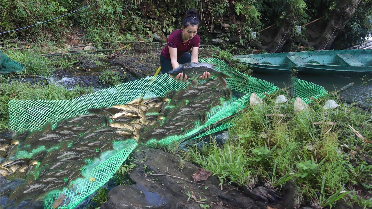 How to Make a Simple Fish Trap With Plastic Net - Secret to Creating ...