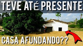 IT’S 70 YEARS OLD AND IS BEHIND THE ABANDONED HOUSE; Sobrado-PB!!!