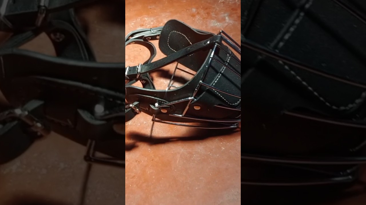 Este es el mejor bozal para perros? 