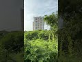 iphone 15 SLO-MO Test #iPhone  #iphone15