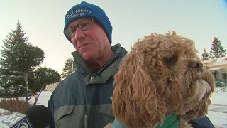 North Shore Residents Embrace Snow Amid Frigid Cold