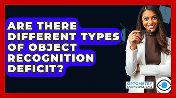 Are There Different Types Of Object Recognition Deficit? - Optometry Knowledge Base