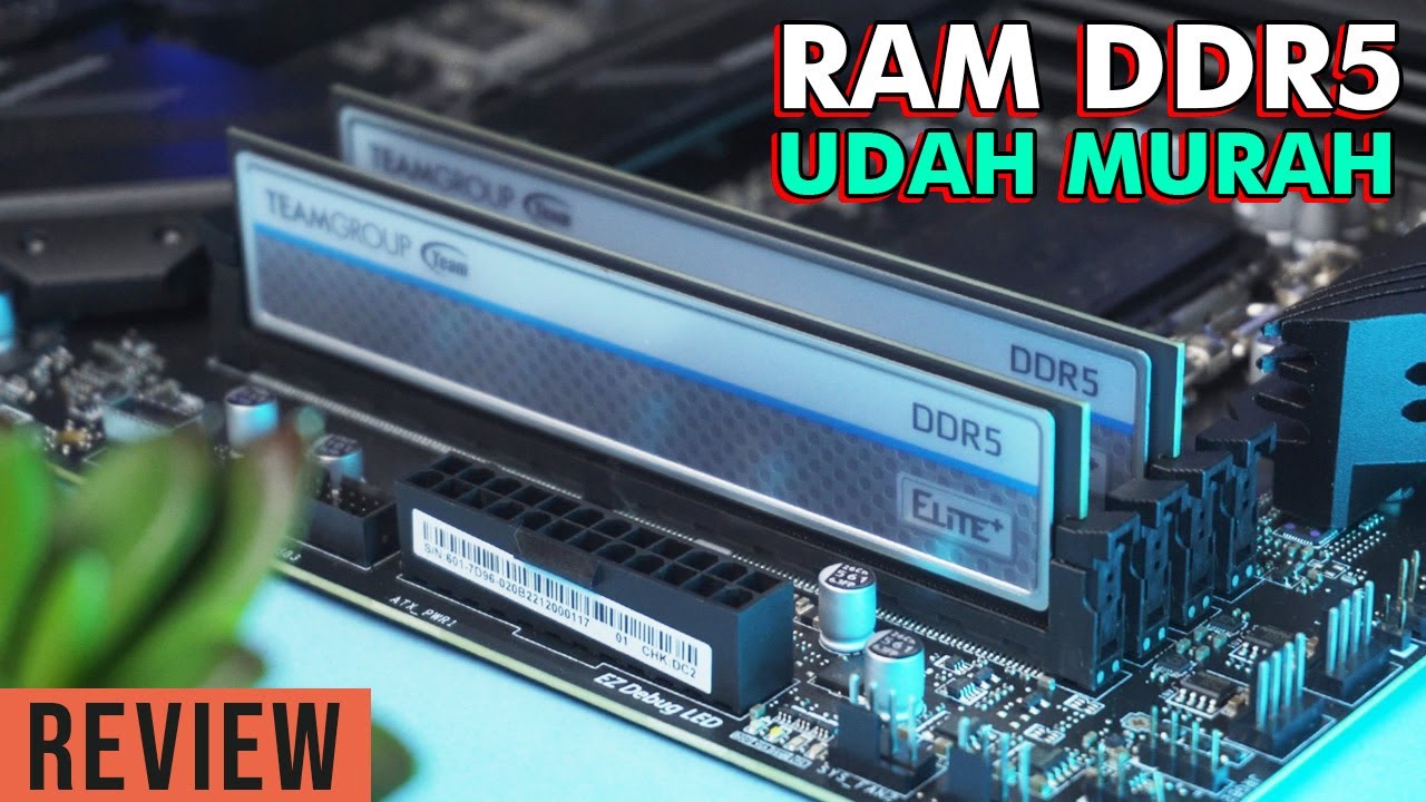 Team Group Elite DDR3 1x8Gb TED38G1600C11BK купить оперативную