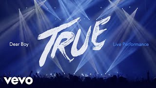 Avicii - Dear Boy Live in Uncasville, True Tour 2014