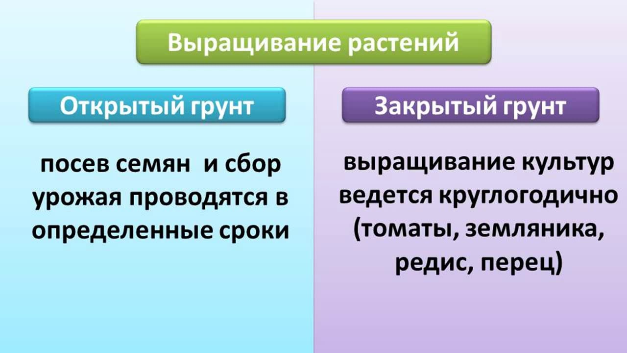 7 класс. Биология. Роль покрытосеменных растений в природе и жизни ...