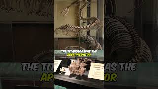 Titanoboa: The Monster Snake that Ruled the Earth #shorts #short