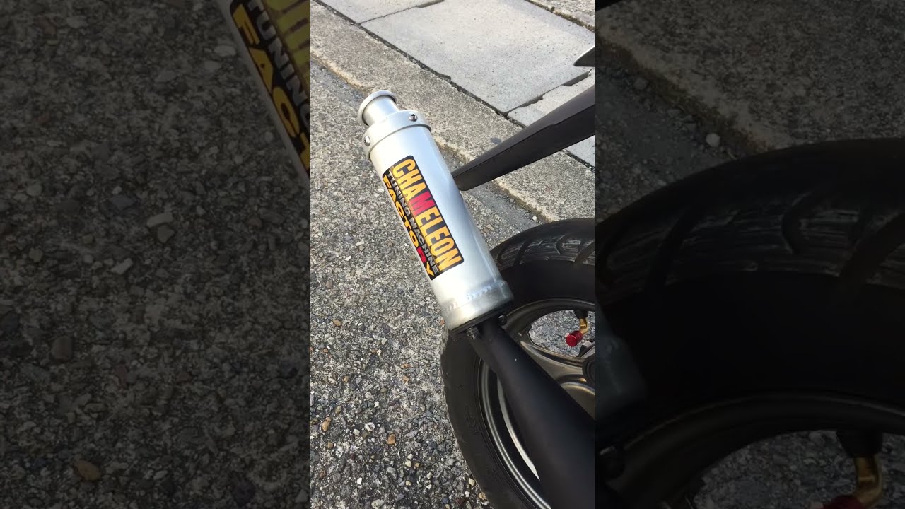 購入前コメントカメレオンファクトリーパラライザー3 スズキZZ