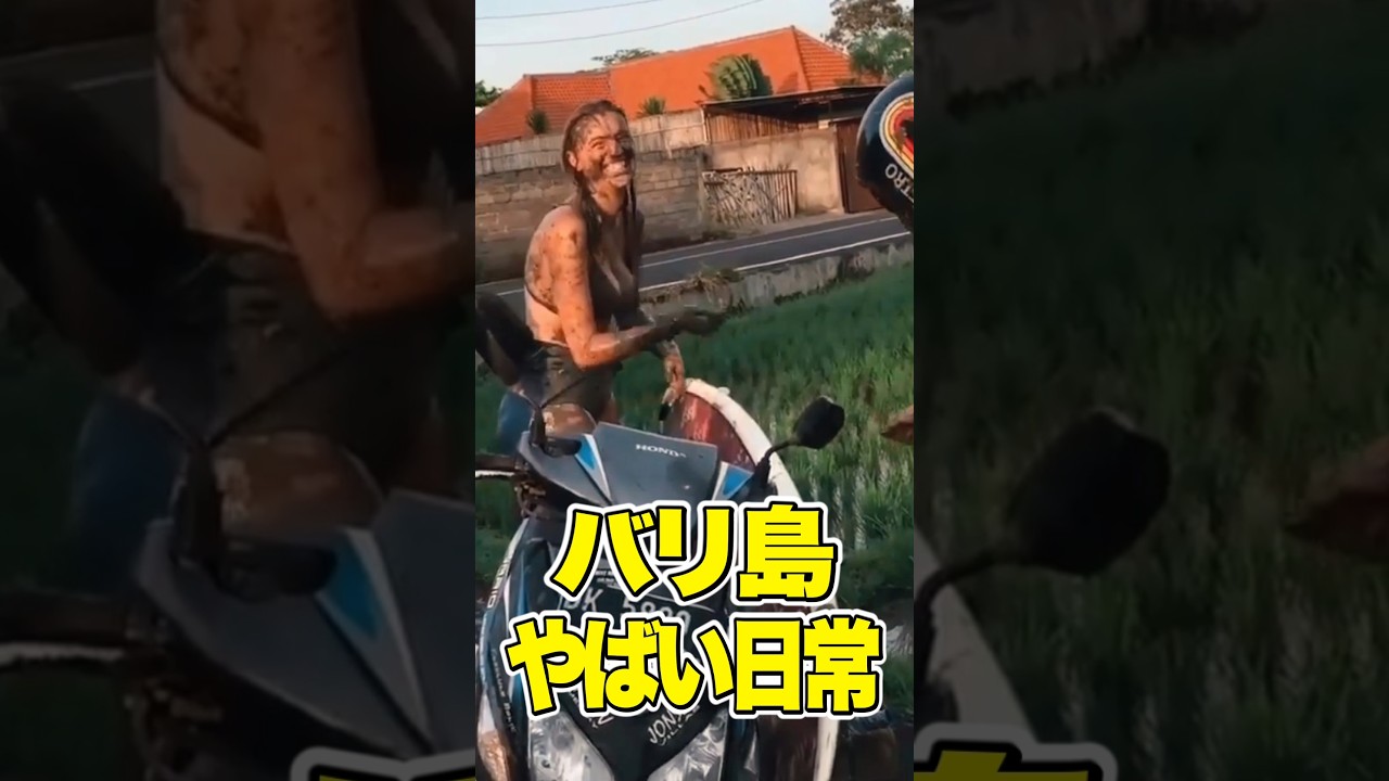 バリ島のやばい日常【バイクで田んぼに落ちがち】