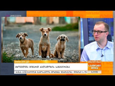 ცხოველთა მიმართ ძალადობის სანქცირება