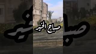 روتين صباحي وتنظيم المطبخ