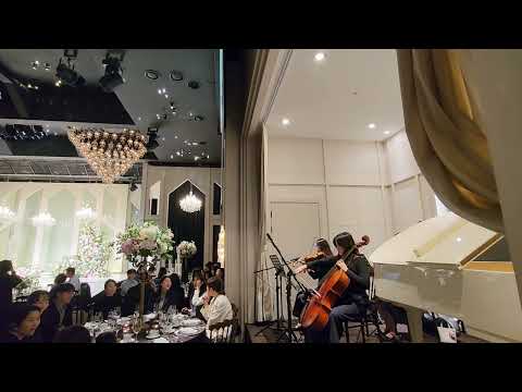 엘리에나호텔 그랜드볼룸 A dream is a wish your heart makes 웨딩연주/결혼식연주
