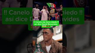 “Canelo me tiene miedo” esto dijo David Benavides 😱🥊 #reels #viralvideo #usa #parati #boxing #mx