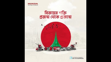 Professional Motion Graphics | Motion Design Service – Go Studio