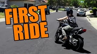 Suzuki Bandit Project - Part 3