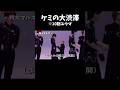 【&TEAM】ユウマのケミ大放出映像となったスチュムビハインド #andteam #앤팀 #エンティーム