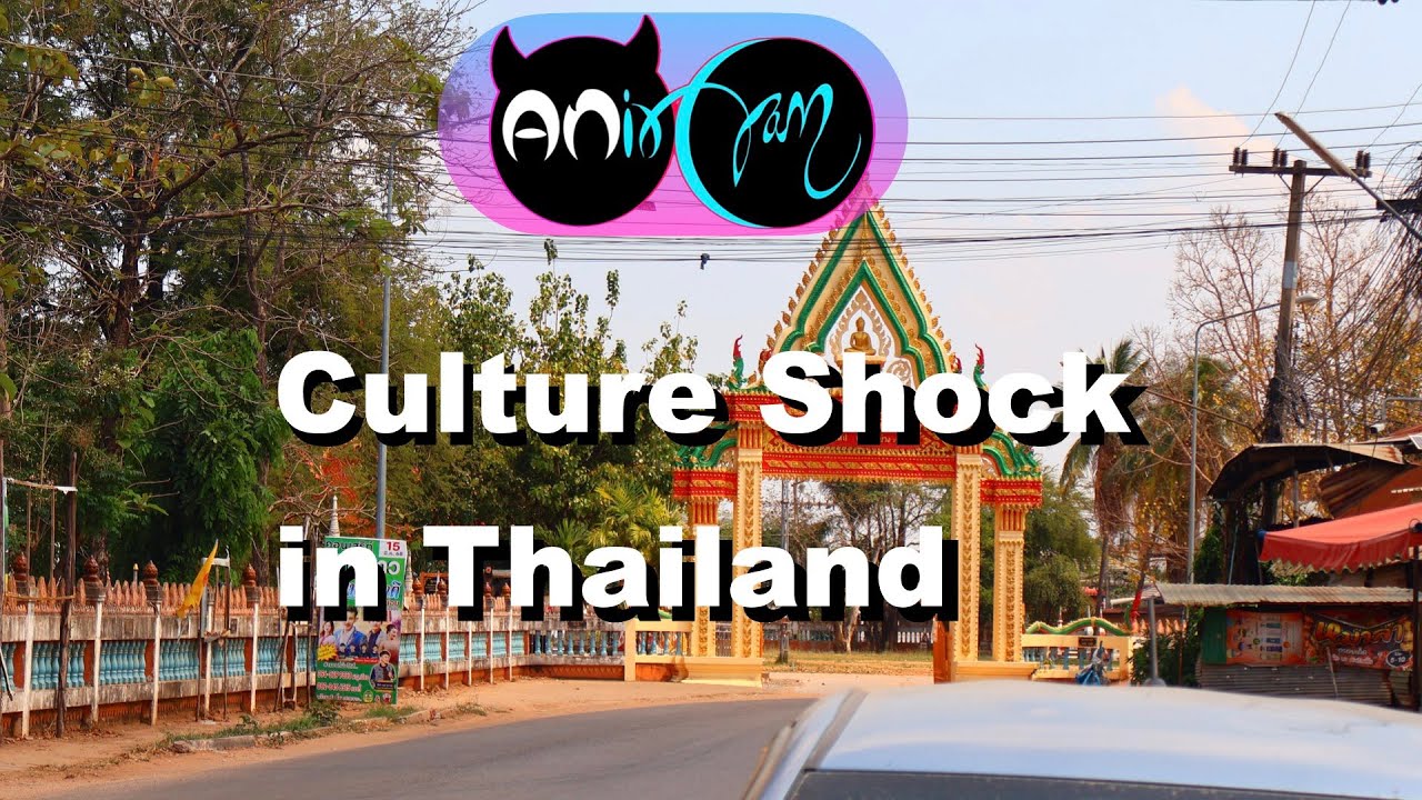 How I Experienced the Stages of Culture Shock in Thailand