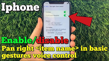 How to enable or disable pan right item name in basic gestures voice control on iPhone X