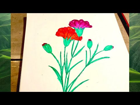 Video Vẽ hoa cẩm chướng | Cách vẽ hoa cẩm chướng đơn giản|... - youtube