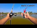 Fishing ABANDONED LAKE ERIE DOCKS For Big Bass!