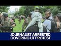 Ut austin palestine protest austin journalist arrested while covering rally  fox 7 austin
