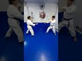 Chutes karate Nidan Mae Tobi Geri - Kicks #ikga #kicks #karatekicks #iogkf #gojukai #mma #blackbelt Mp3 Song