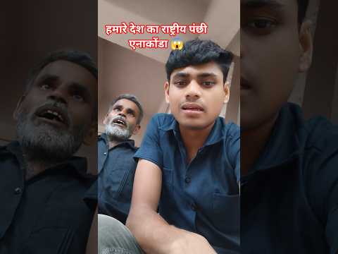 हमारे देश का राष्ट्रीय पंछी एनाकोंडा 😱 #funny #shorts