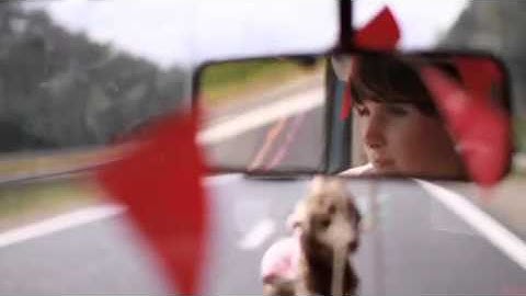 Manifesta 9 Parallel Event by B32 | Taxi Détour