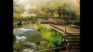 Errik Stapley - Though I Understand - Full Album screenshot 2