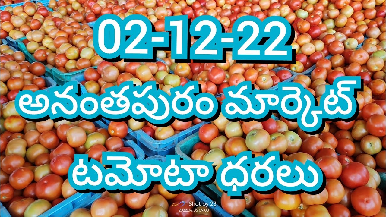 021222 ananthapuram tomato market prices todaytoday tomato market