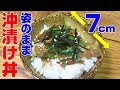 有明海の「イカゴ」を生きたまま沖漬けにして翌日食べた結果…