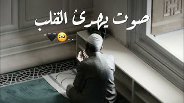 صوت يهدئ القلب 🤎🫀 | القارئ سعود شريم | اجمل حالات واتس اب قران 🧡😴