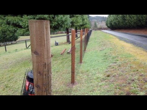 wire fencing for dogs