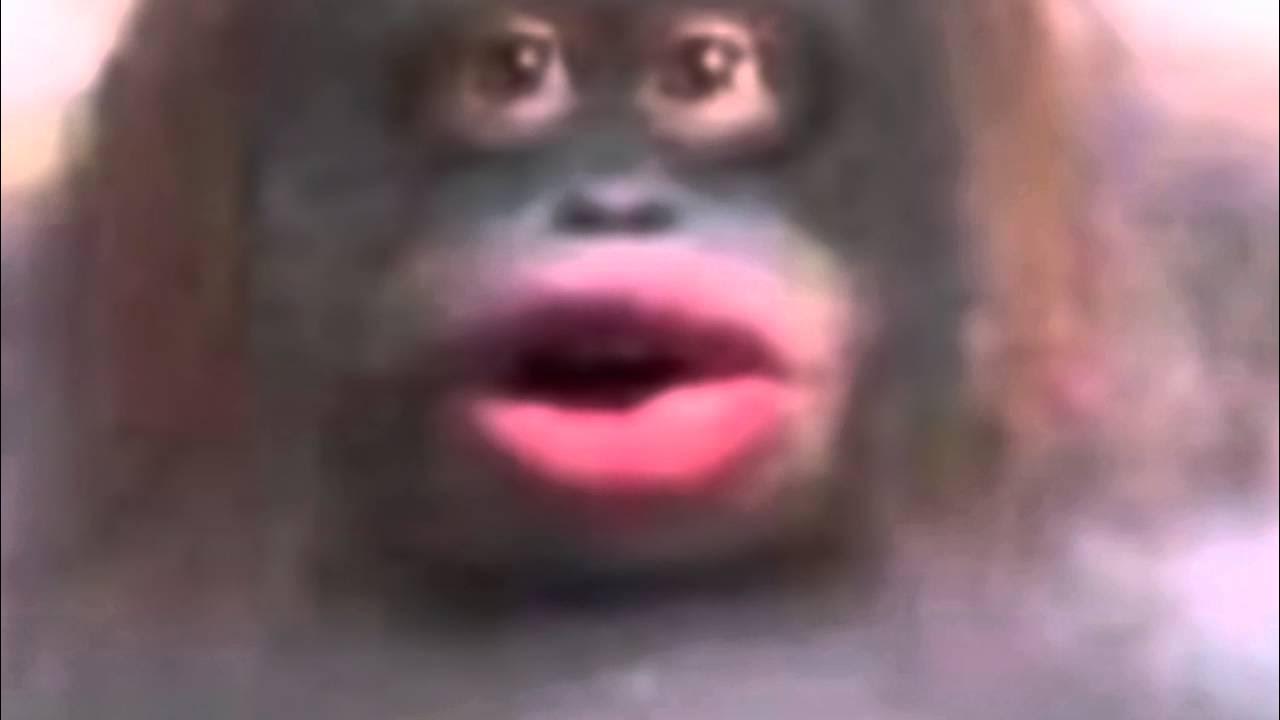youtu.be