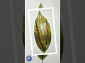 Painting on tree leaves #shorts #youtubeshorts #art #painting  #leaf #leaves #forest #drawing