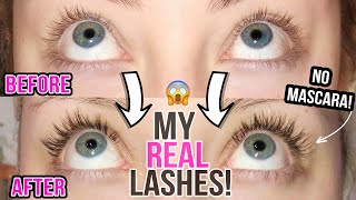 HOW TO GROW YOUR LASHES | MAXEYLASH SERUM BEFORE AND AFTER | GLAMNANNE