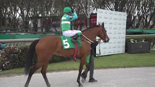 230924 c05 Cl  Stud Book Uruguayo/ PACHOLLI