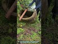 Moving a Giant Stone Mortar: Low-Tech Rural Ingenuity