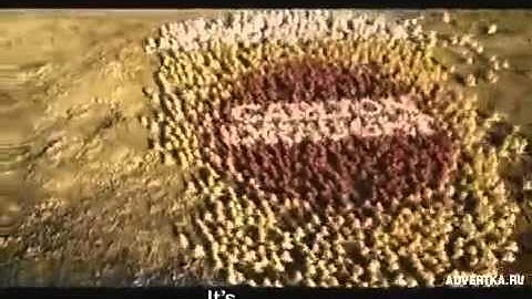 Carlton Draught - Big Ad.mp4