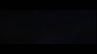 gfox | eagle