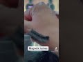 Magnetic lashes