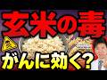 【衝撃】玄米の「毒」ががんに効く!? 知らないと損する“体に悪い成分”の正体とは(フィチン酸・健康・生活習慣・抗がん効果・ナグモクリニック・予防医療)