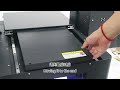 How to Adjust the Belt?