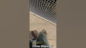 White Sparrrow Net for Balconies at Azumi CHSL, Khar by Bird Net India - www.birdnetindia.in